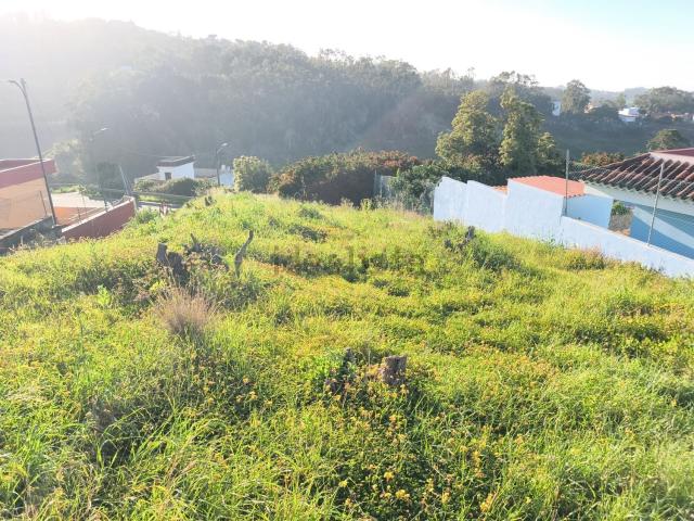 Terreno, Moya