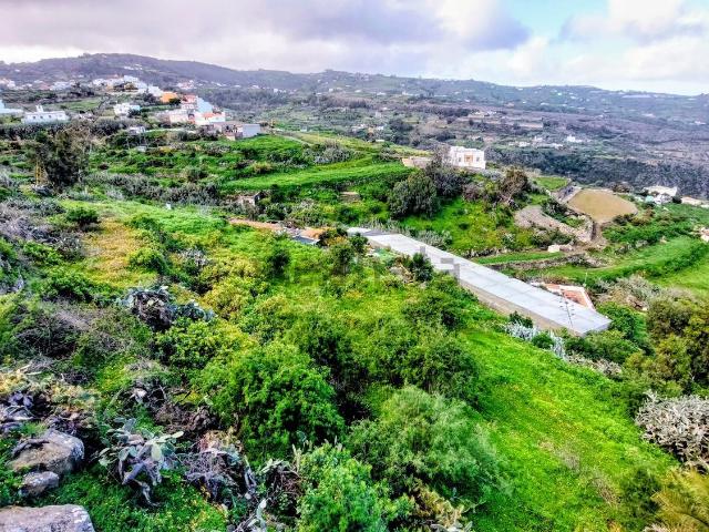 Terreno, Moya