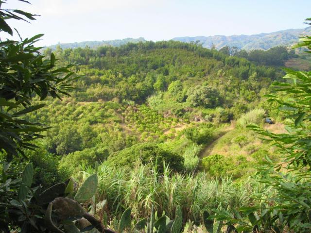Terreno, Moya