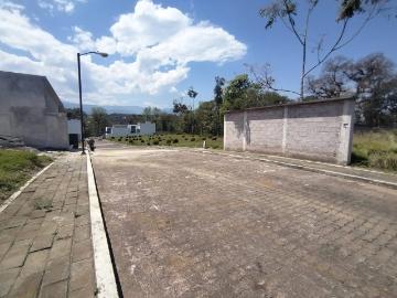 Terreno Nuevo Coapexpan