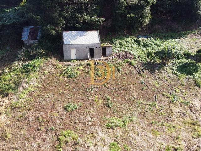 Terreno, Santana, Santana | BPI Expresso Imobiliário