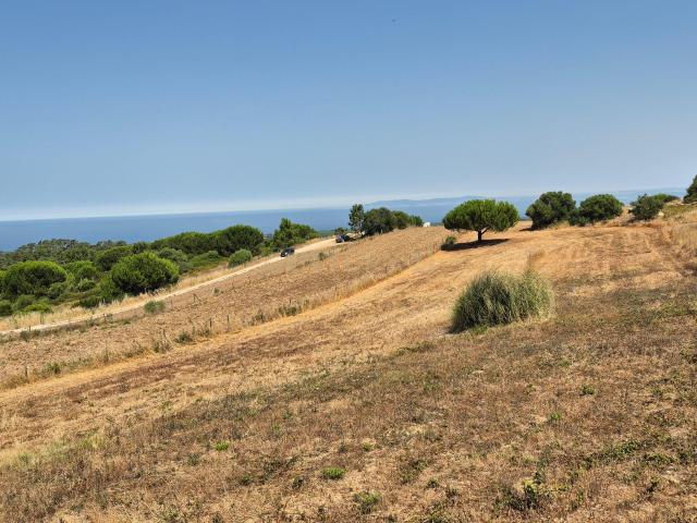 Terreno com Vista Mar e Lisboa na Azoia 15.700 m² | PIP Aprovado para Moradia + Cave