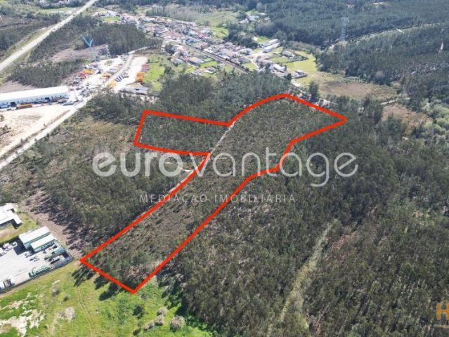 Terreno na Barosa, em Leiria | 26083969393