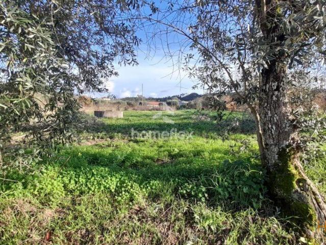 Terreno na Cavada! | 26084059294