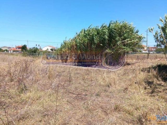 Terreno na Coutada Velha B547 | 26063918922