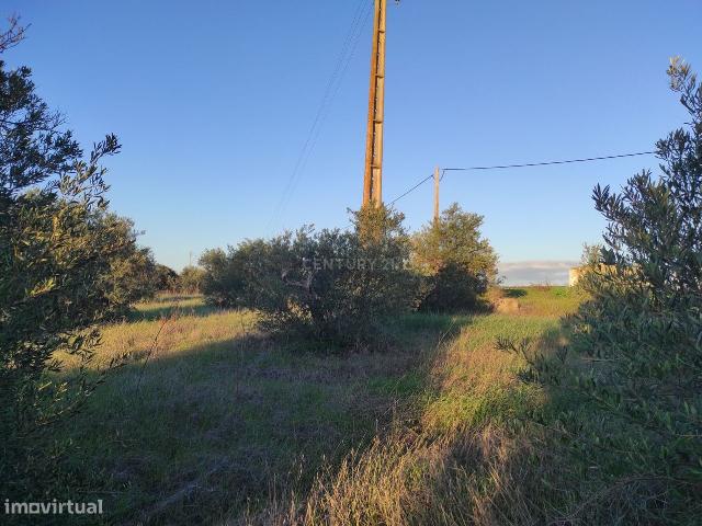 Terreno na Godinha Campo Maior