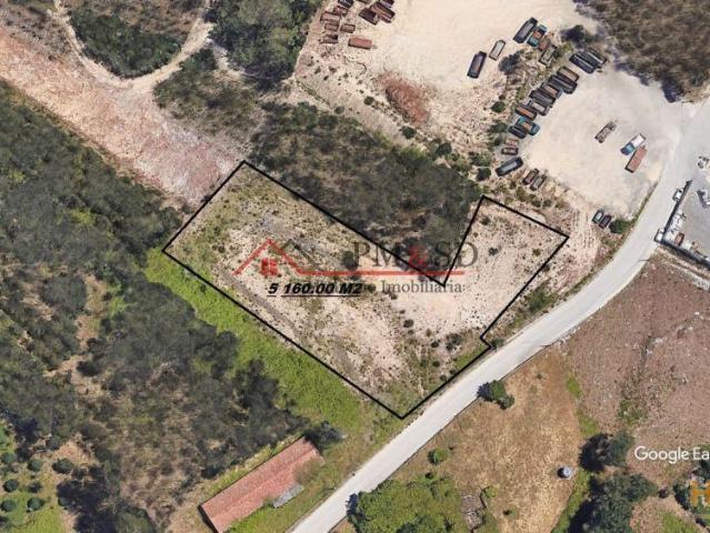 Terreno 5160 m2 ZICOFA Leiria | 26084059672