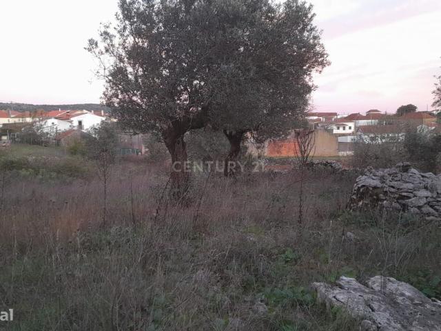 Terreno na Serra de Santo Antnio