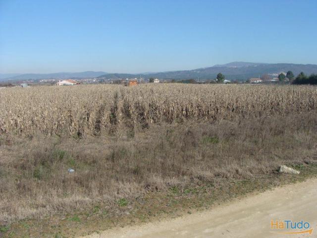 Terreno na veiga de Chaves | 26061265467