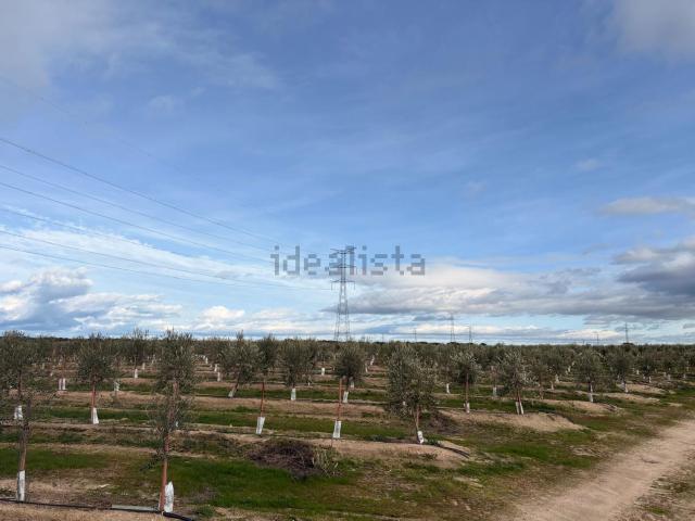 Terreno, Navalmoral de la Mata