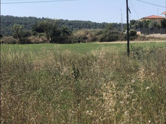 Terreno, Navarcles