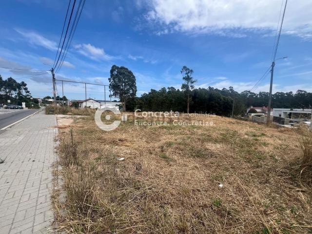 Terreno, Negreiros e Chavão