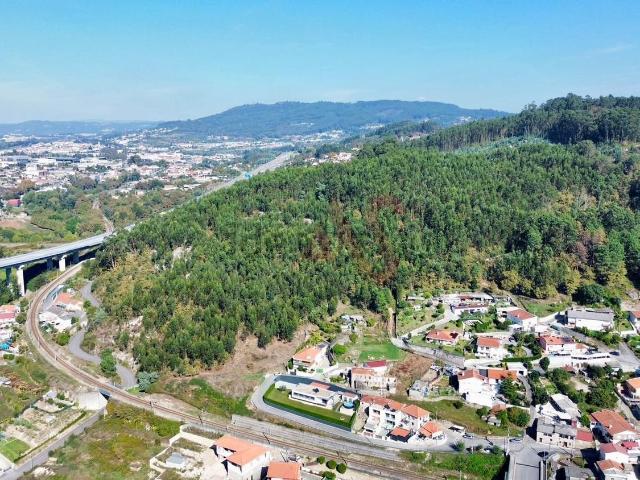 Terreno, Nespereira