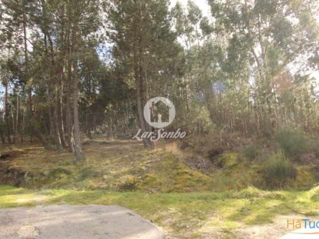 Terreno Nespereira Celorico de Basto | 26083834010
