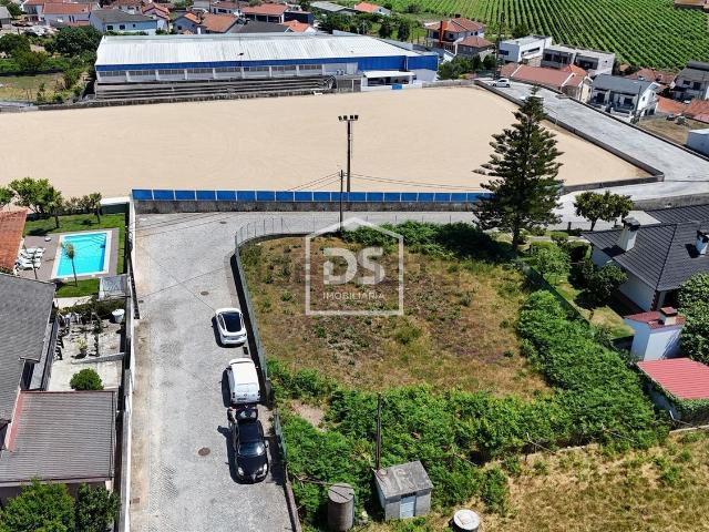 Terreno, Nevogilde