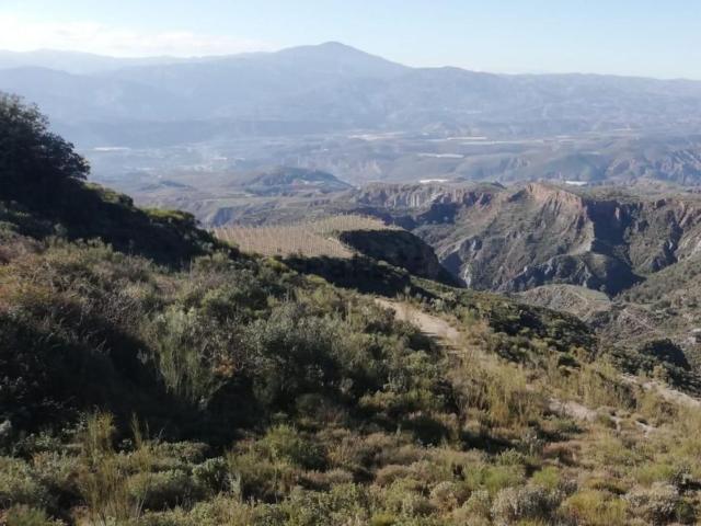 Terreno, Nevada