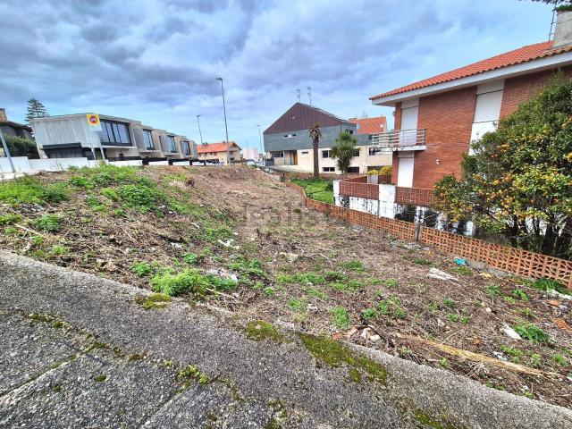 Terreno, Nigran