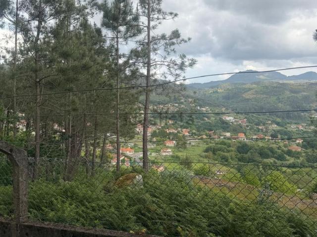 Terreno, Nigran