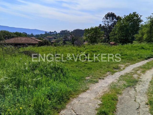Terreno, Nigran