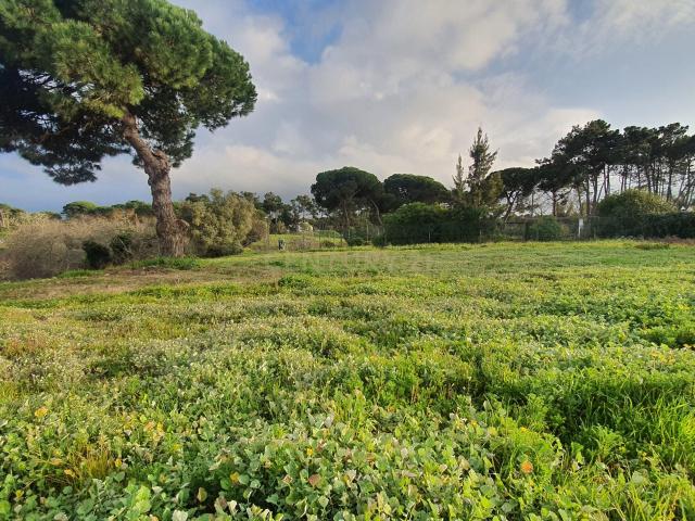 Terreno no meco para apoio agricola ou empreendimento turistico