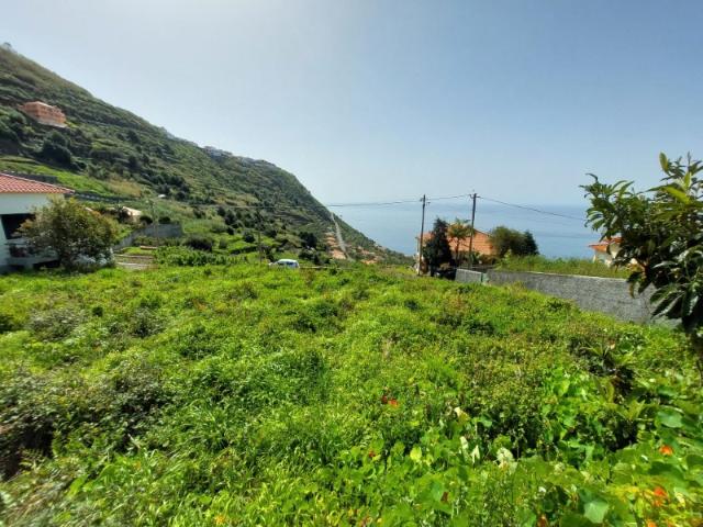 Terreno no Arco da Calheta: Vista Mar e Montanha