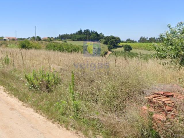 Terreno no Carvalhal