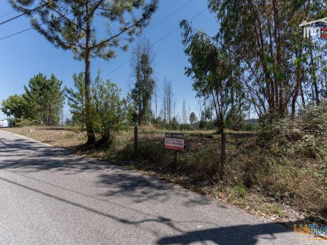 Terreno no centro de Caxarias com 1.349,65 m2 | 26063817985