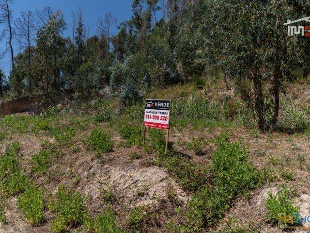 Terreno no centro de Caxarias com 856,94 m2 | 26083817983
