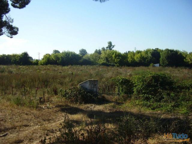 Terreno no Escaroupim S287 | 26083251887