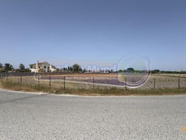 Terreno no Porto Alto PALT365 | 26063960535