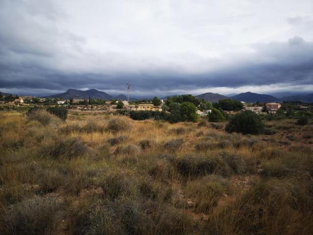 Terreno no urbanizable
