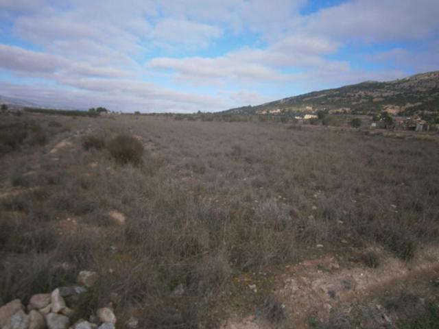 TERRENO NO URBANO