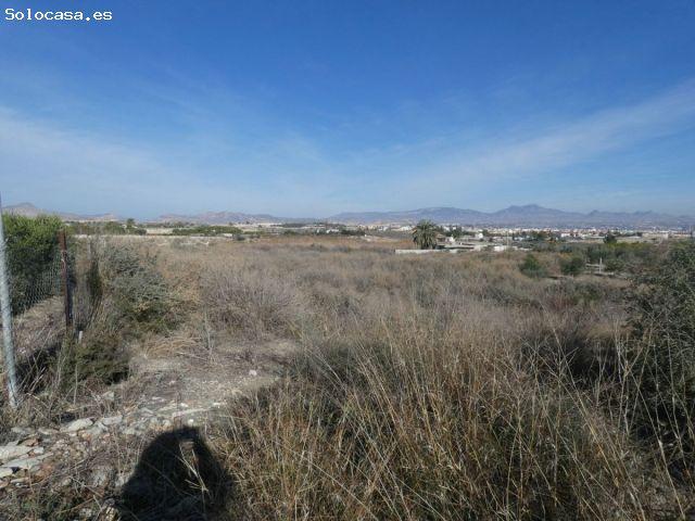 Terreno no urbano en Ceuti zona Ceutí, 8200 m. superficie parcela+