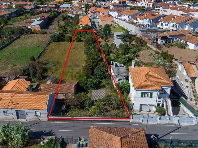 Terreno, Nogueira do Cravo