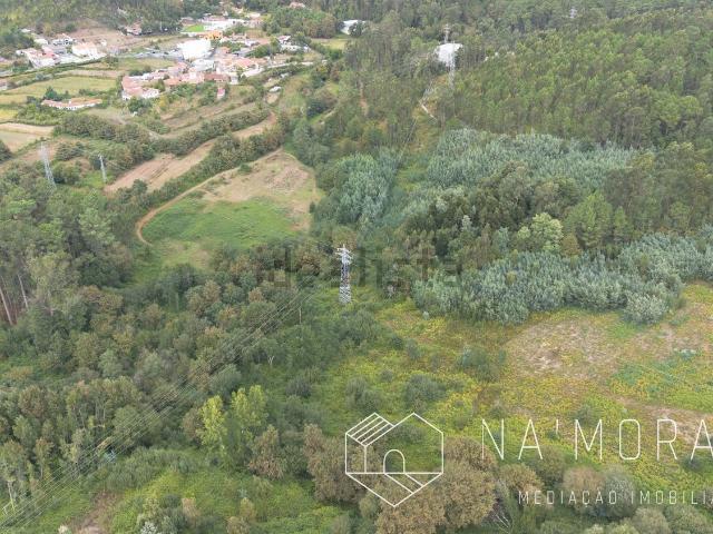 Terreno, Nogueira do Cravo