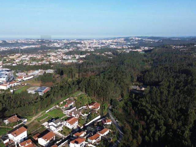 Terreno, Pindelo