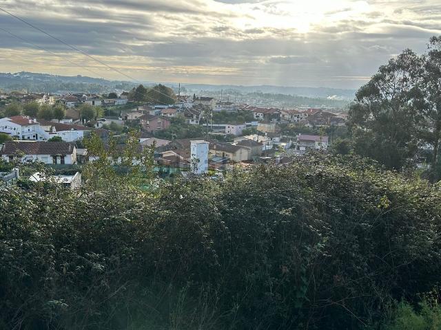 Terreno, Nogueira do Cravo