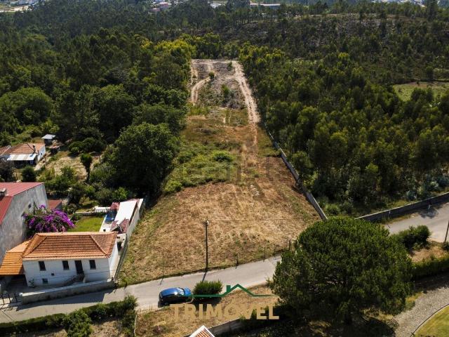 Terreno, Nogueira do Cravo