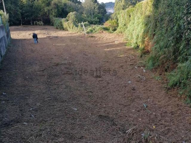 Terreno, Nogueiró e Tenões
