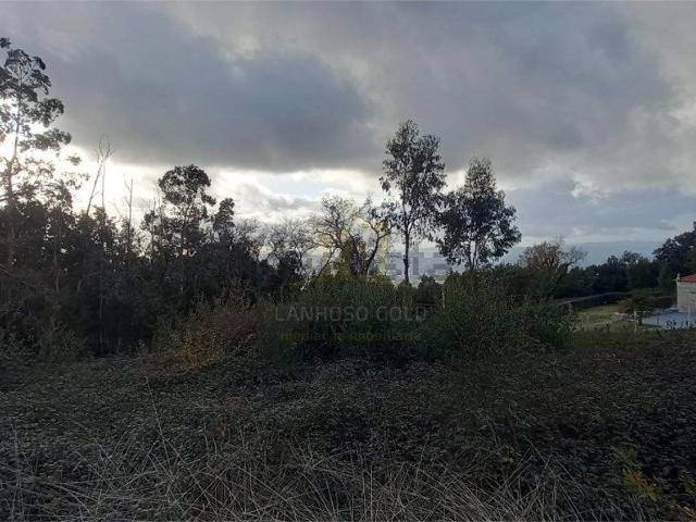 Terreno, Nogueiró e Tenões