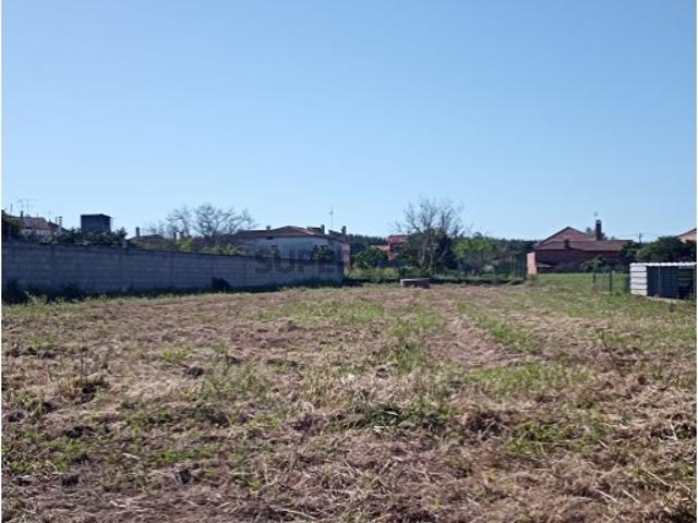 Terreno nos Pinheiros, Leiria