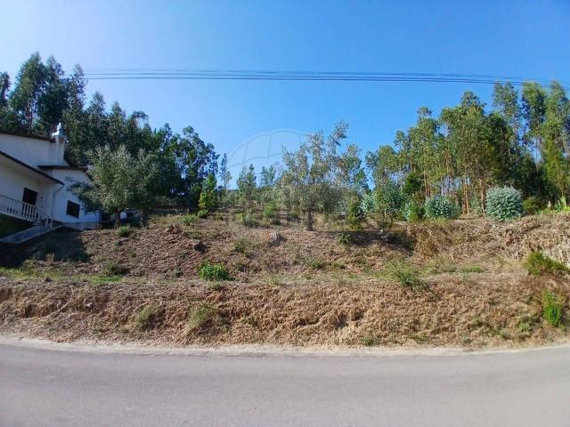 Terreno, Nossa Senhora Misericórdias