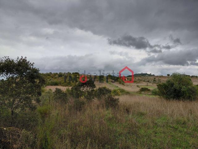 Terreno, Nossa Senhora Misericórdias