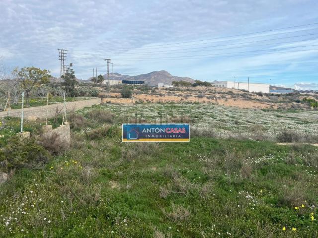 Terreno, Novelda