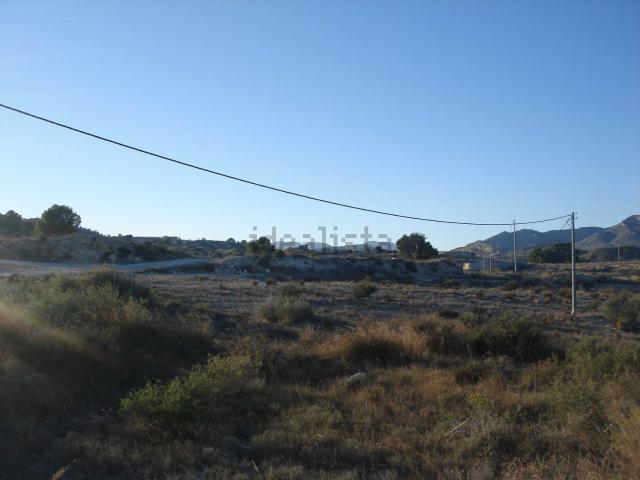 Terreno, Novelda