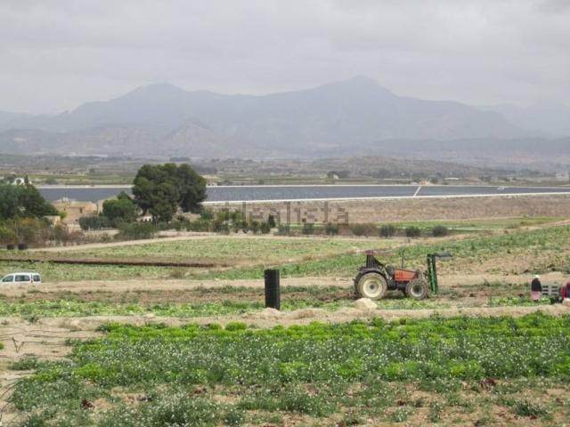 Terreno, Novelda