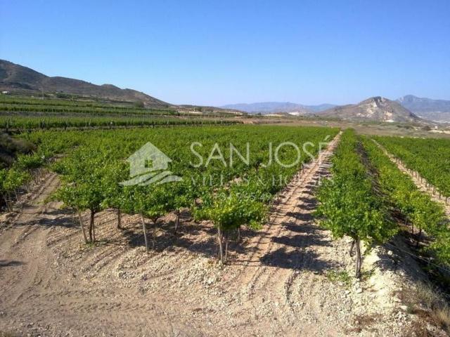 Terreno, Novelda