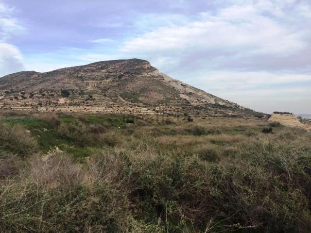 Terreno, Novelda
