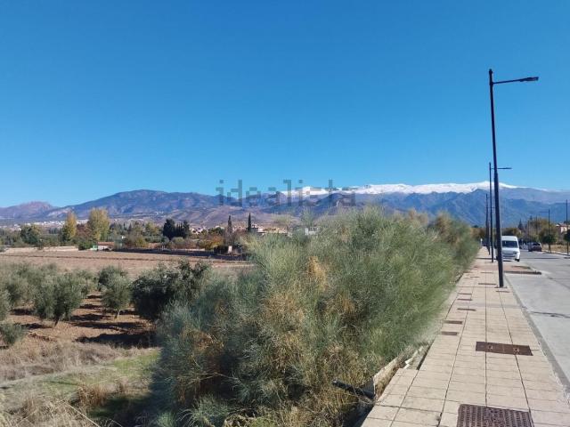 Terreno, Otura