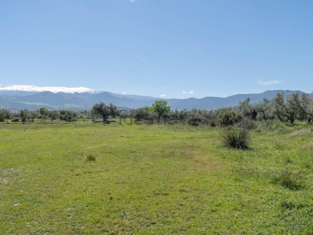 Terreno, Otura